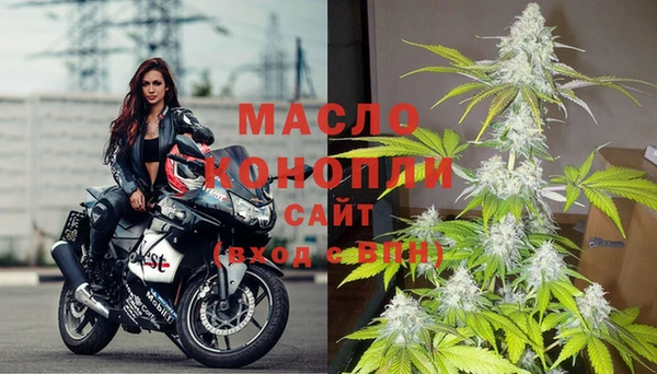 spice Богородск