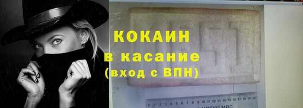 spice Богородск