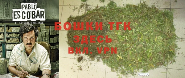 spice Богородск