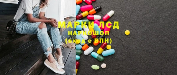 spice Богородск