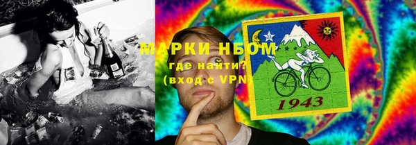 spice Богородск