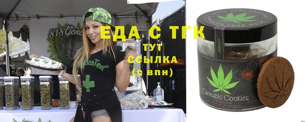 spice Богородск