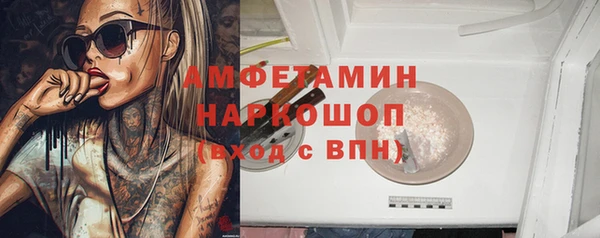 spice Богородск