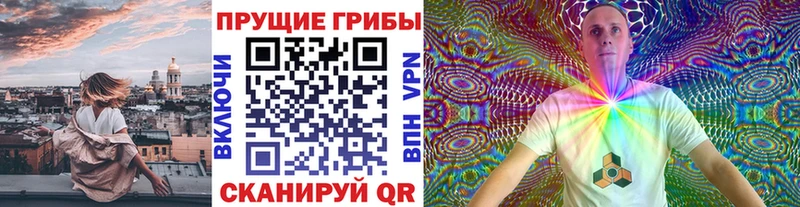 Галлюциногенные грибы Psilocybe  OMG ТОР  Тотьма  сколько стоит 