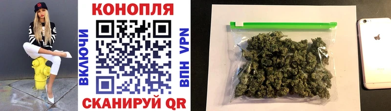 Бошки марихуана конопля  где найти   Тотьма 